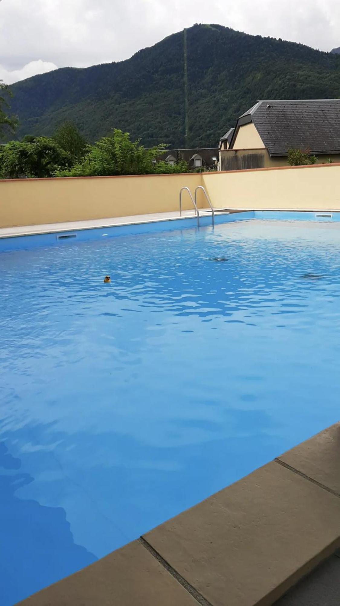 Appart T 3 Bagneres-De-Luchon Vue Montagne - Piscine Mi Juin Bagneres-de-Luchon Exterior foto